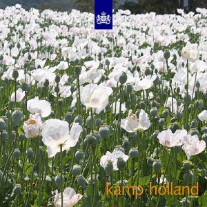 various artists - kamp holland outside front