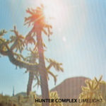 hunter-complex-limelight